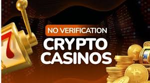 Exploring Anonymous Bitcoin Online Casinos 411649131